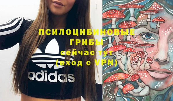 спиды Корсаков