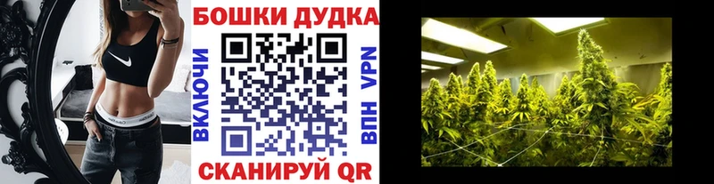 Шишки марихуана Amnesia  Купить  Пучеж 